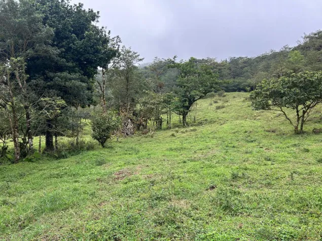 Venta de Lote en Puntarenas. RAH 26-18 in Biolley, Buenos Aires, Puntarenas — ₡ 25 500 000 - Photo 2 of 14
