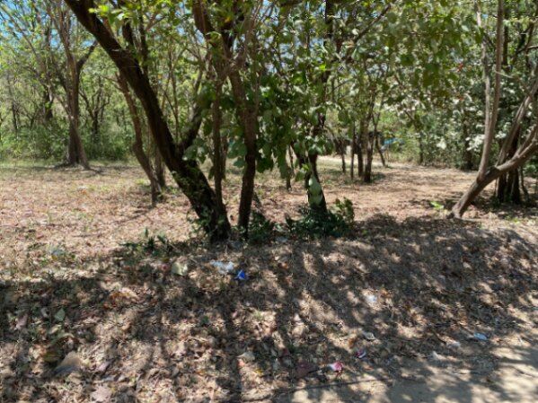 Terreno en Nosara, Guanacaste. in Nosara, Nicoya, Guanacaste — ₡ 110 000 000