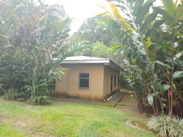 1+ hectare con servicios en Tinamaste, Perez Zeledon en Barú, Pérez Zeledón, San José — $179,999