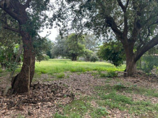 Venta de Lote en Liberia de Guanacaste. RAH 26-1013 en Curubandé, Liberia, Guanacaste — $505,208