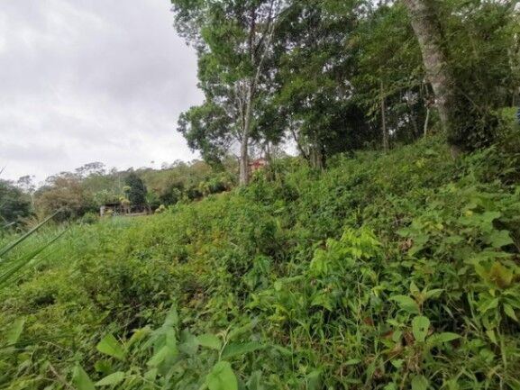 MLS-25-1085 VENTA LOTE SAN JUAN TURRIALBA in Turrialba, Cartago — $375,500