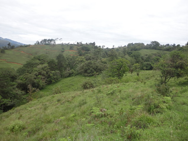 Finca en Lourdes, Cartago. 15 ha con gran potencial in Aguacaliente, Cartago — ₡ 105 000 000 - Photo 3 of 9