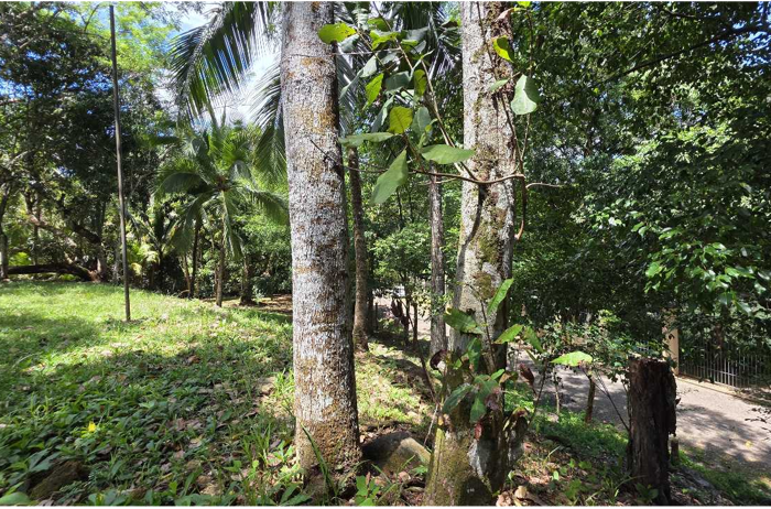 Lote con quebrada y bosque/2506m2/SAN MATEO in Labrador, San Mateo, Alajuela — ₡ 100 000 000