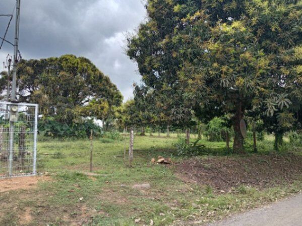 Terreno de 849 m² en Venta – Caño Negro Centro, Alajuela (Ideal Inversión Turística en Caño Negro, Los Chiles, Alajuela — ₡ 11 900 000