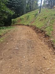 DE OPORTUNIDAD BELLA FINCA PRÓXIMA A LA FORTUNA DE SAN CARLOS. en Peñas Blancas, San Ramón, Alajuela — 200 000 000 ₡ - Foto 4 de 5