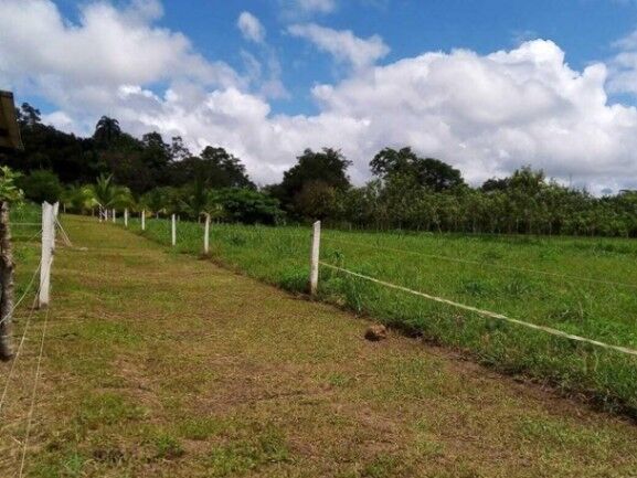 MLS-25-1273 LS VENTA FINCA GUATUSO ALAJUELA en Katira, Guatuso, Alajuela — ₡ 110 000 000