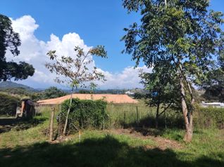 Lote plano de 632 m² para construcción - Concepción, Atenas en Concepción, Atenas, Alajuela — 39 000 000 ₡ - Foto 4 de 19