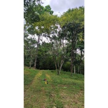 VENTA DE FINCA, USO MIXTO, ALAJUELA, SAN CARLOS, LA TIGRA   en La Tigra, San Carlos, Alajuela — 160 000 000 ₡ - Foto 4 de 8