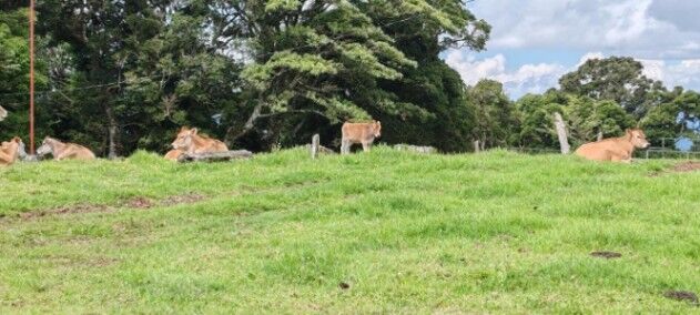 Venta de Lote en Barva-San José de La Montaña, Heredia. RAH 26-682 PRECIO REBAJADO  in San José de La Montaña, Barva, Heredia — $1,050,000