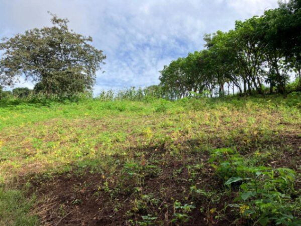 DE OPORTUNIDAD BELLA PROPIEDAD EN ATENAS.  en Atenas, Alajuela — ₡ 90 000 000