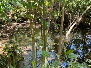 Finca en venta en Atenas, con vistas, manantial de agua, cascada in San José, Atenas, Alajuela — $525,000 - Photo 2 of 40