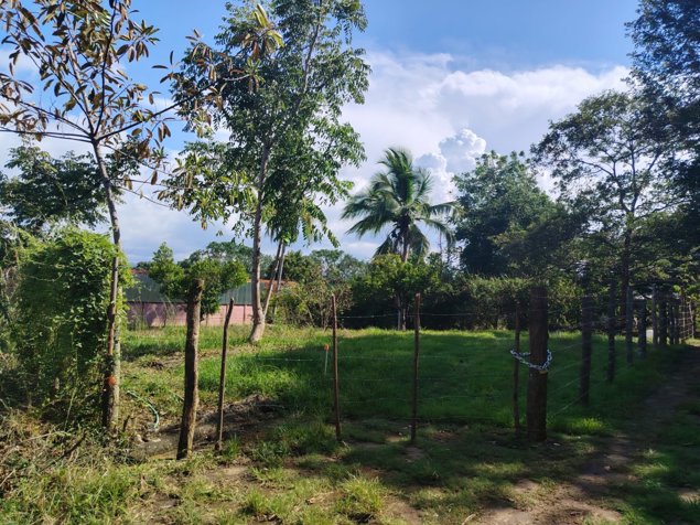 Lote plano de 632 m² para construcción - Concepción, Atenas en Concepción, Atenas, Alajuela — ₡ 39 000 000 - Foto 2 de 19