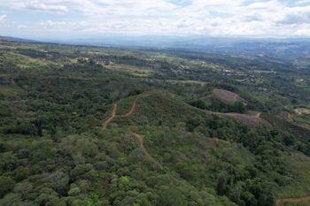 200 Degrees Mountain View Coffee and  Poultry Production Farm