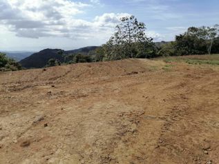 VENTA DE LOTE, ALAJUELA , SAN RAMON, MAGALLANES en San Ramón, Alajuela — $58,000 - Foto 4 de 10