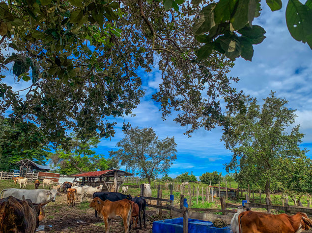 Hacienda Las Mesas de Cañas Dulces, Liberia, Guanacaste. en Liberia, Guanacaste — $3,500,000