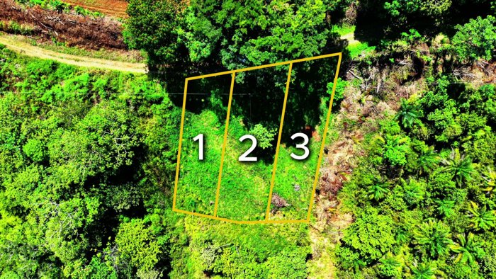 SE VENDE TERRENO LISTO PARA CONSTRUIR CON VISTAS INCREIBLES EN PEREZ ZELEDON en Volcán, Buenos Aires, Puntarenas — $10,000