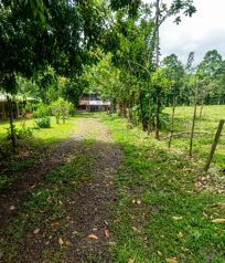 VENTA - Finca de 2.1 Ha con 2 Casas - La Naranjeña- Guatuso - EN SERVIDUMBRE in Katira, Guatuso, Alajuela — 65 000 000 ₡ - Photo 3 of 9