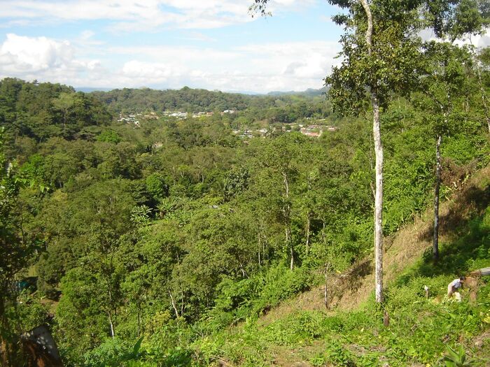 VENTA DE FINCA, USO MIXTO, PUNTARENAS, CIUDAD NEILLY, CORREDORES en Puntarenas — $125,000