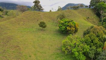 Land For Sale Puerto Cortés, Osa, Puntarenas