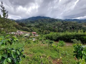 Se vende lote con más de 4200m2 en San Miguel Desamparados 26-875 en San Miguel, Desamparados, San José — $253,500 - Foto 4 de 10
