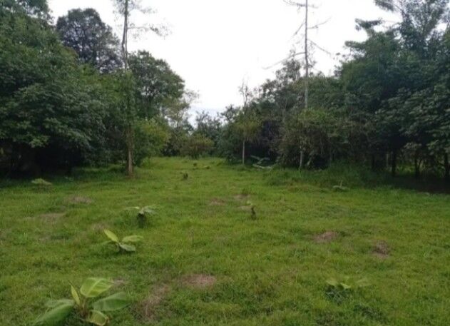 SE VENDE BELLA FINCA CON CASA EN GUÁPILES, LIMÓN.  en Roxana, Pococí, Limón — ₡ 58 000 000