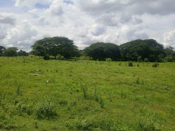Se vende amplio lote de 4.8 hectáreas en Liberia Guanacaste 25-559 en Nacascolo, Liberia, Guanacaste — $4,857,500