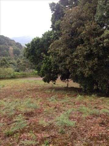 SE VENDE ESPECTACULAR FINCA EN DESAMPARADOS, SAN JOSÉ.  en San Cristóbal, Desamparados, San José — ₡ 120 000 000