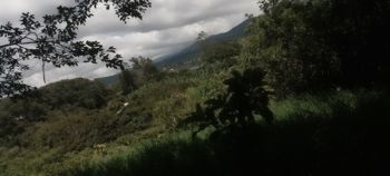Propiedad con casa antigua e impresionantes vistas, San Luis de Santo Domingo 9,621 mtrs2 en Pará, Santo Domingo, Heredia — 350 000 000 ₡ - Foto 2 de 10