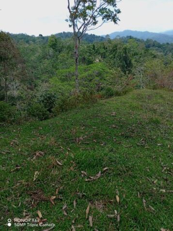 OPORTUNIDAD ÚNICA: IMPRESIONANTE FINCA EN VALLE LA ESTRELLA, LIMÓN, COSTA RICA. in Valle La Estrella, Limón — ₡ 129 000 000