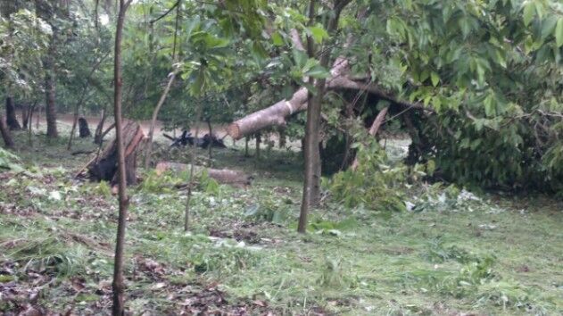Venta de Lote en Montes de Oro, Puntarenas. RAH 26-249 in Miramar, Montes De Oro, Puntarenas — $76,000