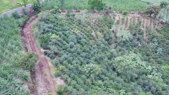 Venta de Lote en Grecia-San Roque, Alajuela. RAH 24-1278 in San Roque, Grecia, Alajuela — $100,000 - Photo 4 of 8
