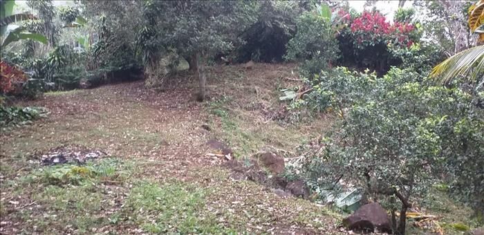 BELLÍSIMA FINCA EN BARROETA, ATENAS. en Atenas, Alajuela — ₡ 10 000