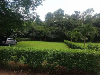 MLS-25-631 VENTA LOTE LA CEIBA OROTINA  en La Ceiba, Orotina, Alajuela — 25 000 000 ₡ - Foto 4 de 7
