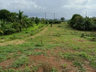VENTA DE LOTE USO DE SUELO MIXTO, HEREDIA, SARAPIQUI, HORQUETAS in Puerto Viejo, Sarapiquí, Heredia — 40 000 000 ₡ - Photo 2 of 6