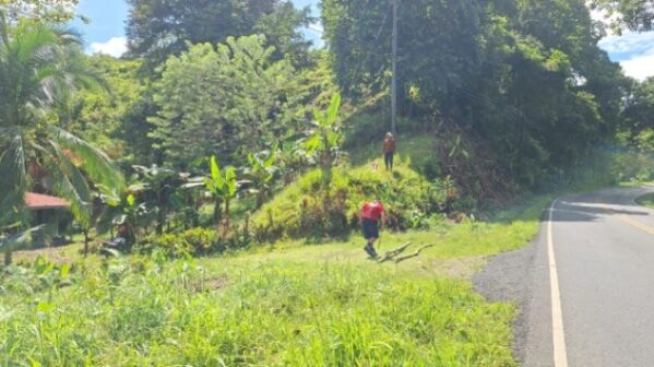 Se vende lote con casa villa Colon Osa  en Piedras Blancas, Osa, Puntarenas — ₡ 20 000 000