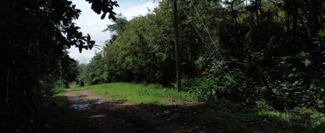 Venta de Lote en Orotina de Alajuela. en Orotina, Alajuela — $120,000