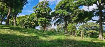 Venta de Amplio Lote en San José de la Montaña, Heredia. RAH 26-682  en San José de La Montaña, Barva, Heredia — $950,000 - Foto 4 de 17