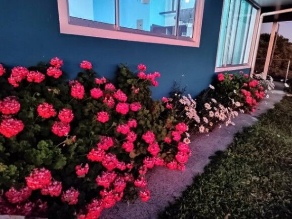 Se vende casa con lote de 1000m2 en Grecia de Alajuela 25-1166 in Grecia, Alajuela — $225,000