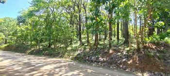 10 000 m2 residential and commercial just 500 m to Marbella Beach en Cuajiniquil, Santa Cruz, Guanacaste — $350,000 - Foto 5 de 12