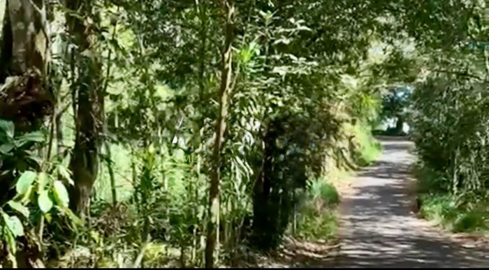 VENTA DE LOTE, ALAJUELA, ATENAS, SANTA EULALIA, CALLE VAINILLA en Atenas, Alajuela — $99,740