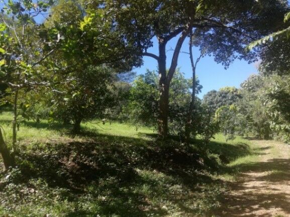 Se vende amplia finca de 5.6 hectáreas en Orotina Alajuela 21-1635 en Orotina, Alajuela — $1,681,600