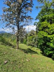 SE VENDE ESTA BELLEZA DE FINCA EN LIMÓN, COSTA RICA. en Cahuita, Talamanca, Limón — 270 000 000 ₡ - Foto 5 de 12