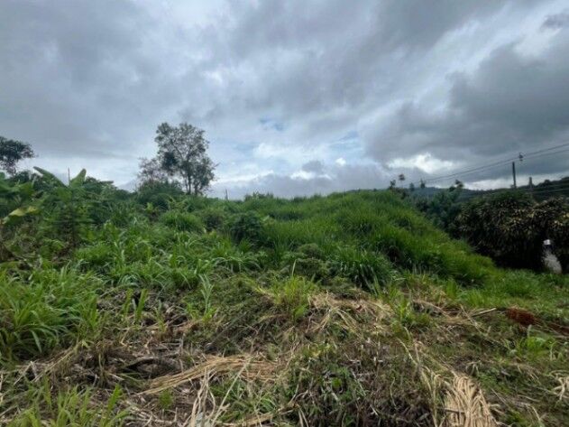 MLS-25-1809 LS VENTA LOTE SAN MARCOS TARRAZU in San Marcos, Tarrazú, San José — ₡ 250 000 000