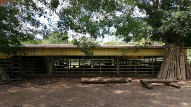 FINCA GANADERA A PUERTA CERRADA 167 HA in Chires, Puriscal, San José — ₡ 750 000 000