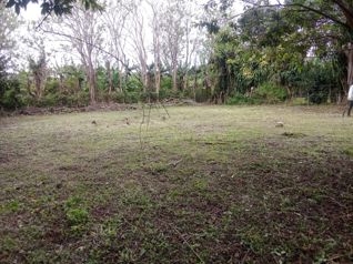 VENTA DE TERRENO EN SANTO DOMINGO, HEREDIA 🌳 in Santo Tomás, Santo Domingo, Heredia — 120 000 000 ₡ - Photo 5 of 10