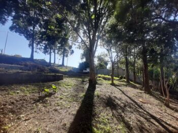 Lote en venta uso mixto en Heredia Santo Domingo en San Miguel, Santo Domingo, Heredia — $220,000 - Foto 4 de 20