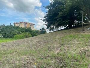TERRENO USO COMERCIAL SAN FELIPE en San Felipe, Alajuelita, San José — $125,000