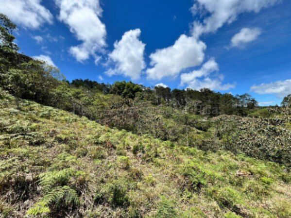 Finca de montaña con quebrada natural y alto potencial en El Guarco Cartago #26-1829 GS in San Isidro, El Guarco, Cartago — $222,222