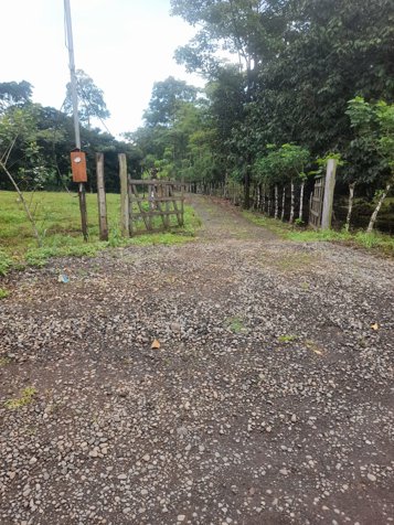 Finca en Venta en Upala | 7 Hectáreas con Infraestructura Ganadera in Upala, Alajuela — ₡ 120 000 000