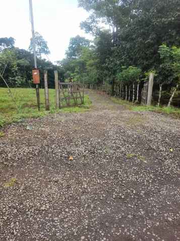 Finca en Venta en Upala | 7 Hectáreas con Infraestructura Ganadera en Upala, Alajuela — ₡ 120 000 000